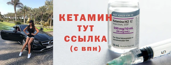 крисы Кулебаки