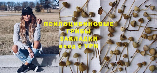 бошки Кукмор