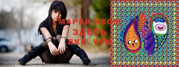 крисы Кулебаки