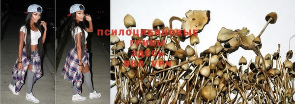 прущие крисы Семикаракорск