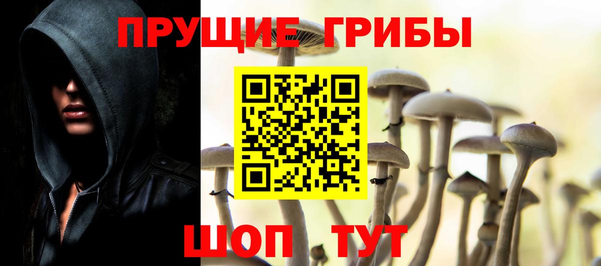 Костомукша  Галлюциногенные грибы MAGIC MUSHROOMS  Вход с VPN  Псилоцибиновые грибы Cubensis 